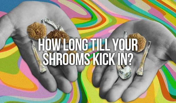 6 Magic Mushrooms FAQs: How long do shrooms take to kick in?